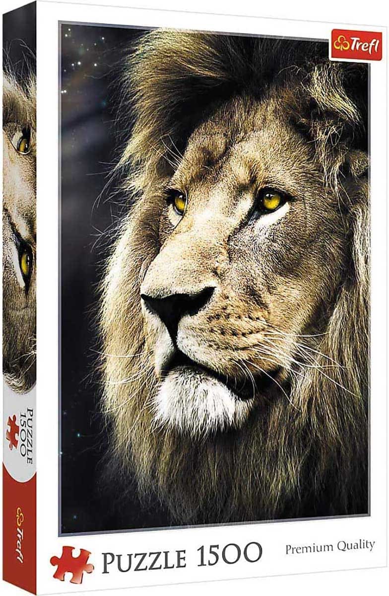Lion's Portrait