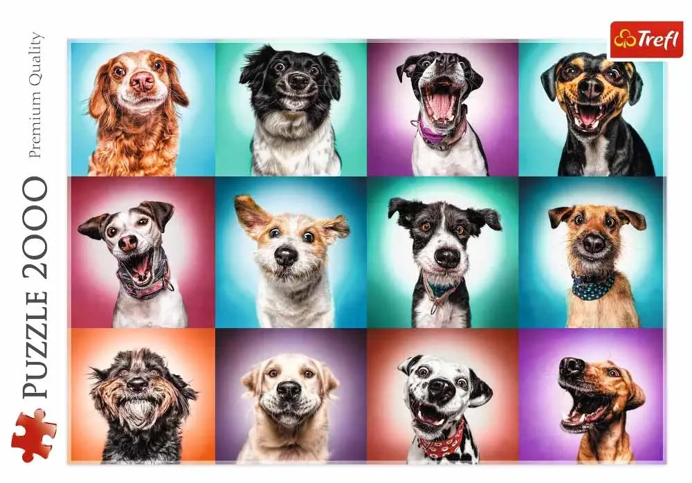 Funny Dog Portraits II