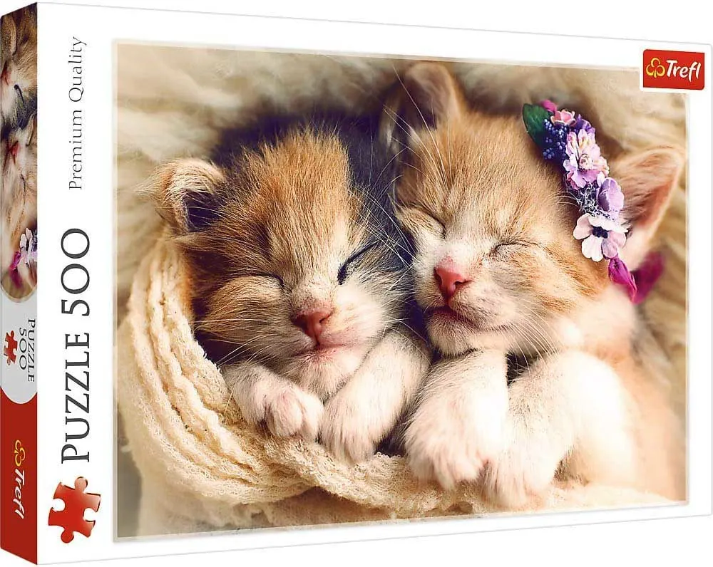 Sleeping Kittens