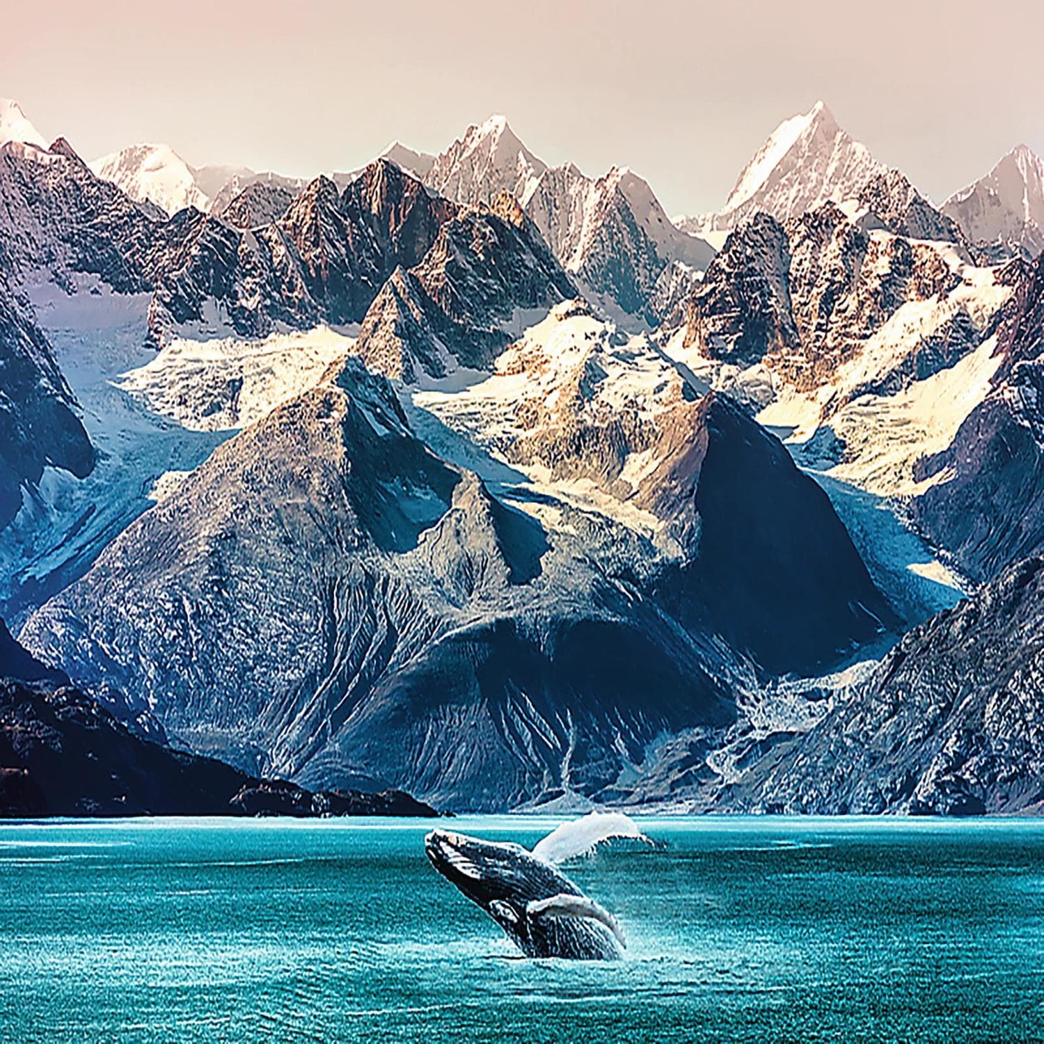 Red Nature Whale Watching