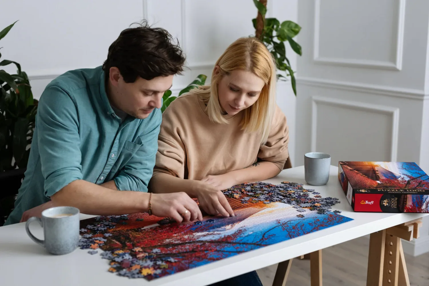 Premium Plus Central Park Winter Wonderland