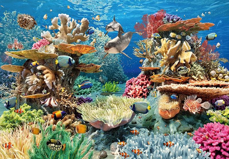 Living Reef
