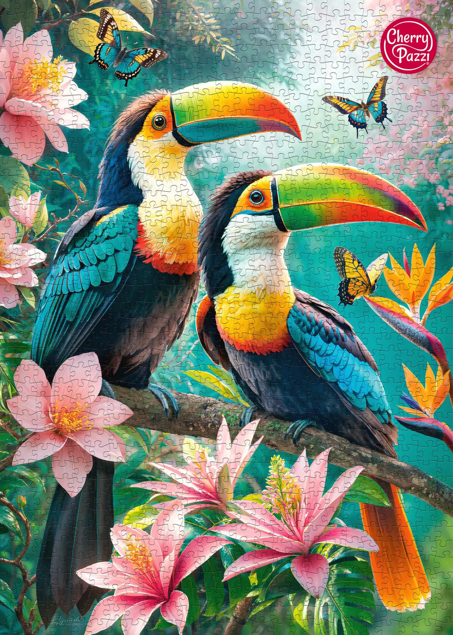 Toucans' Paradise