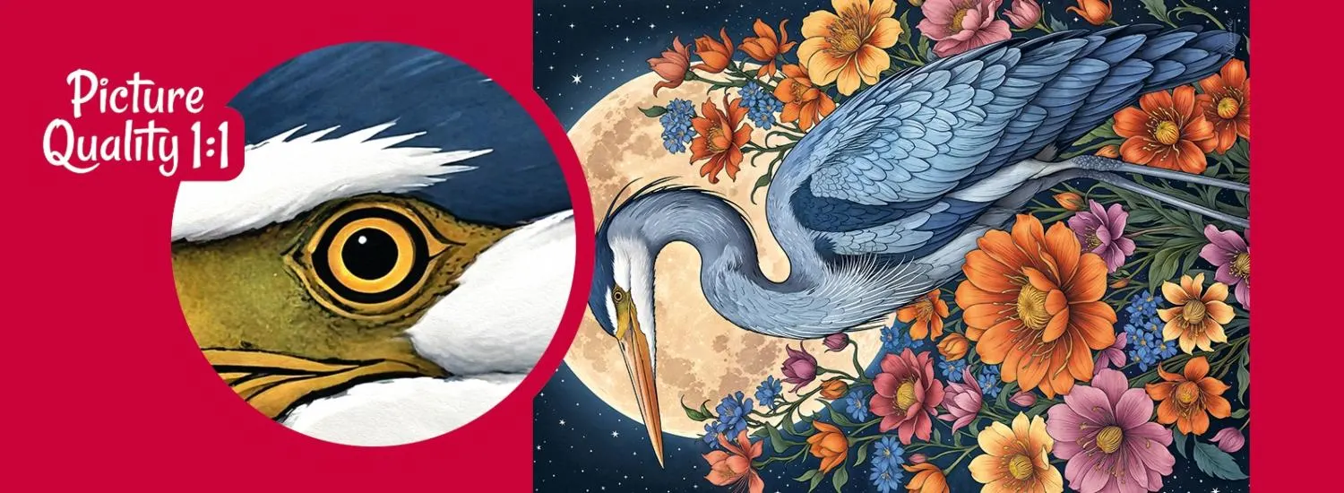 Lunar Serenade&nbsp;&nbsp;