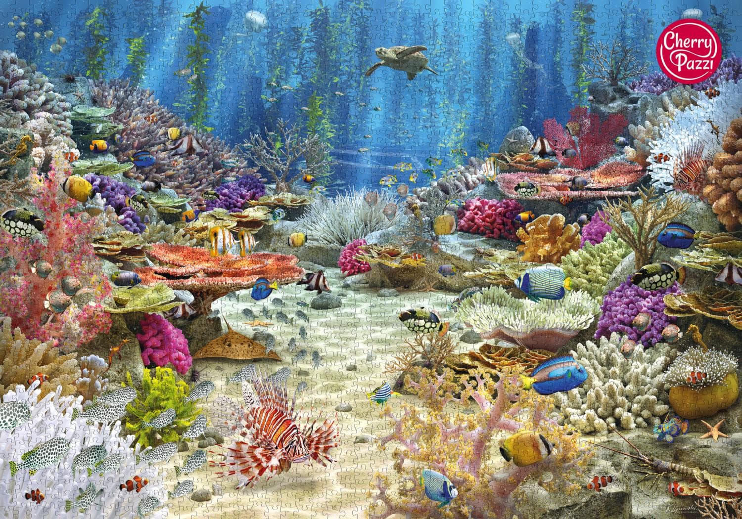 Coral Reef Paradise