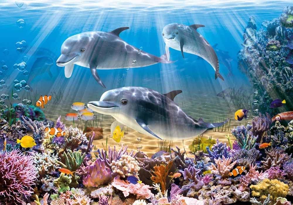 Dolphins Underwater Animals