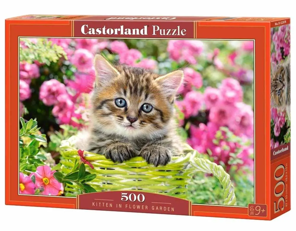Kitten in Flower Garden