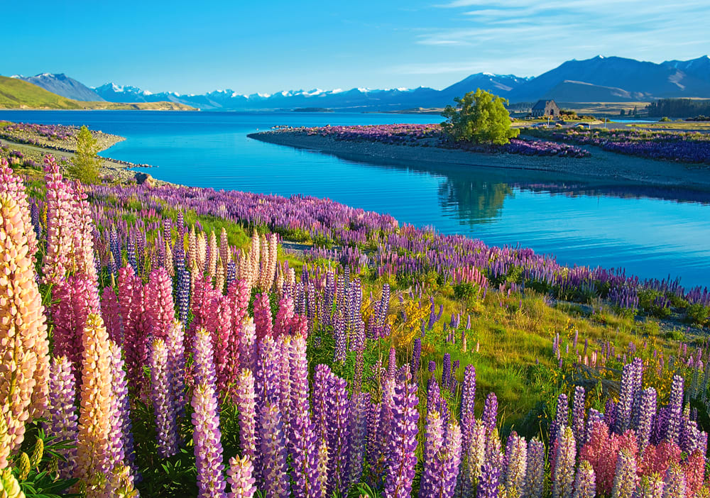 Lake Tekapo, New Zealand Travel