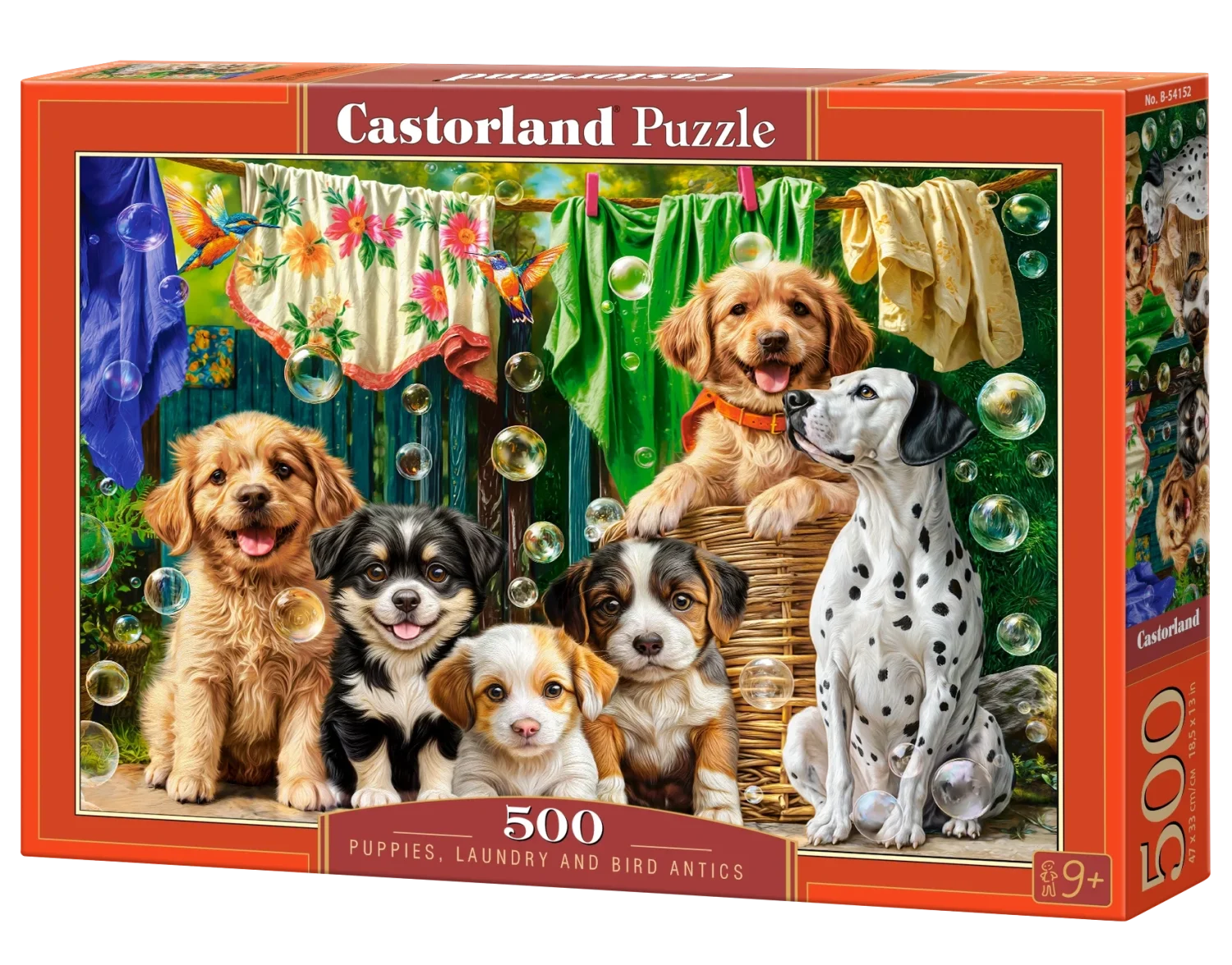 Puppies, Laundry and Bird Antics Dogs