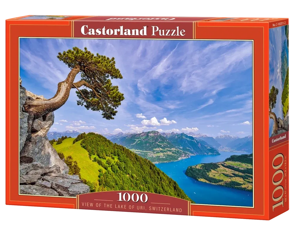 View of the Lake of Uri, Switzerland Photography