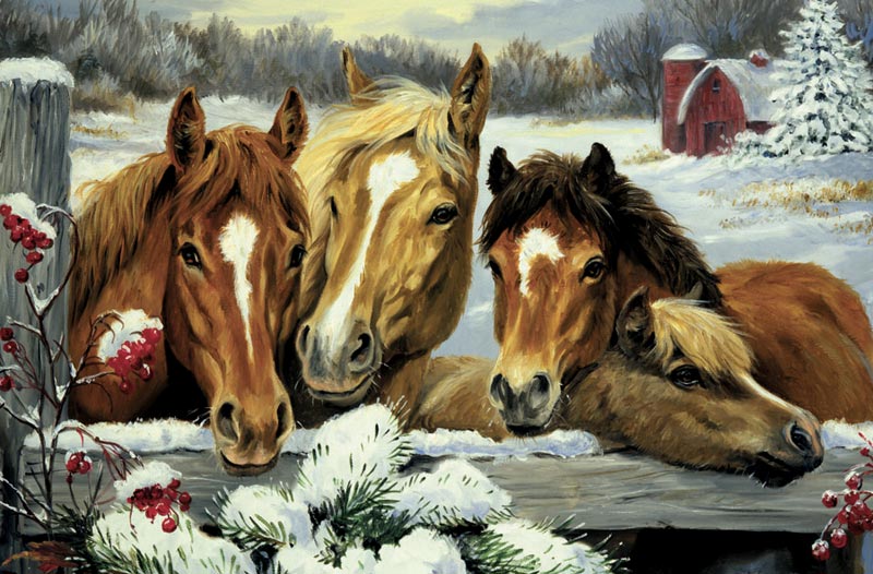 Friendly Neighbors Horse