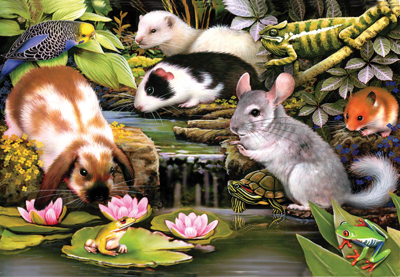 Poolside Pets Animals Jigsaw Puzzle