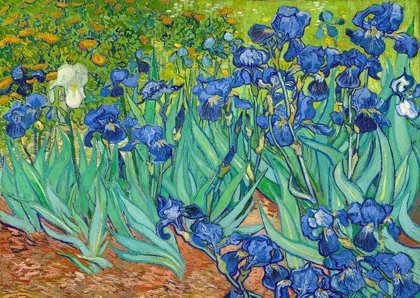 Van Gogh: Irises Flower & Garden