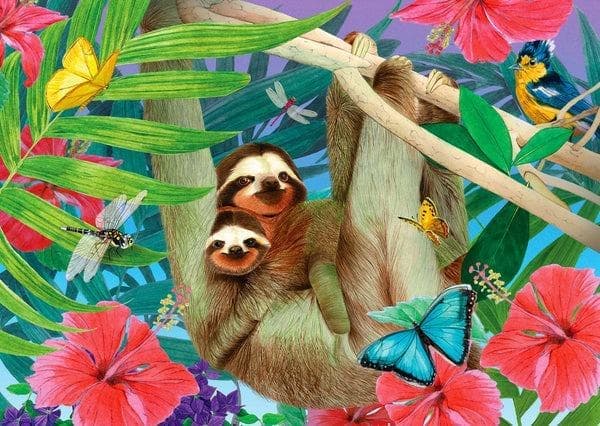 Sweet Sloths Animals