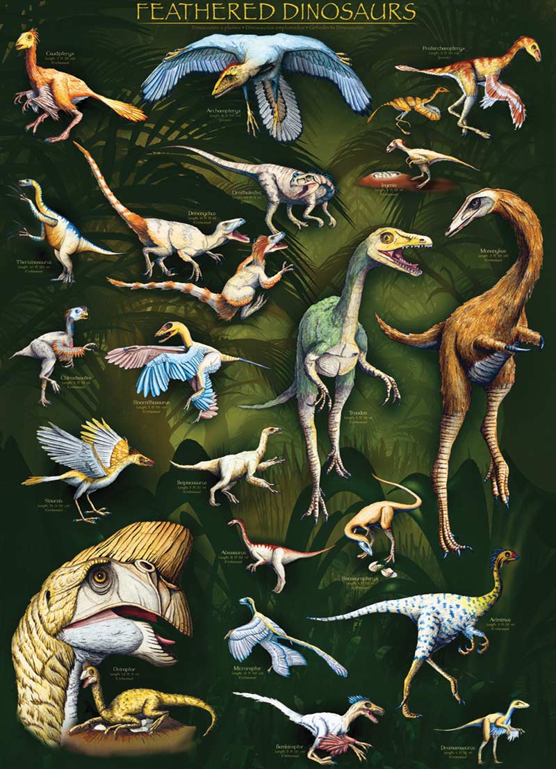 Feathered Dinosaurs Dinosaurs Jigsaw Puzzle