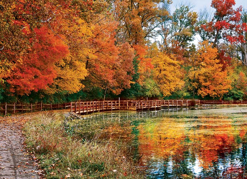 Sharon Woods, OH Fall Jigsaw Puzzle
