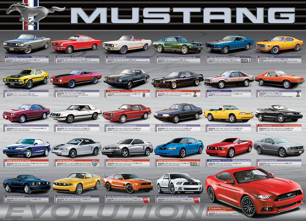 Ford Mustang Evolution 50th Anniversary Car