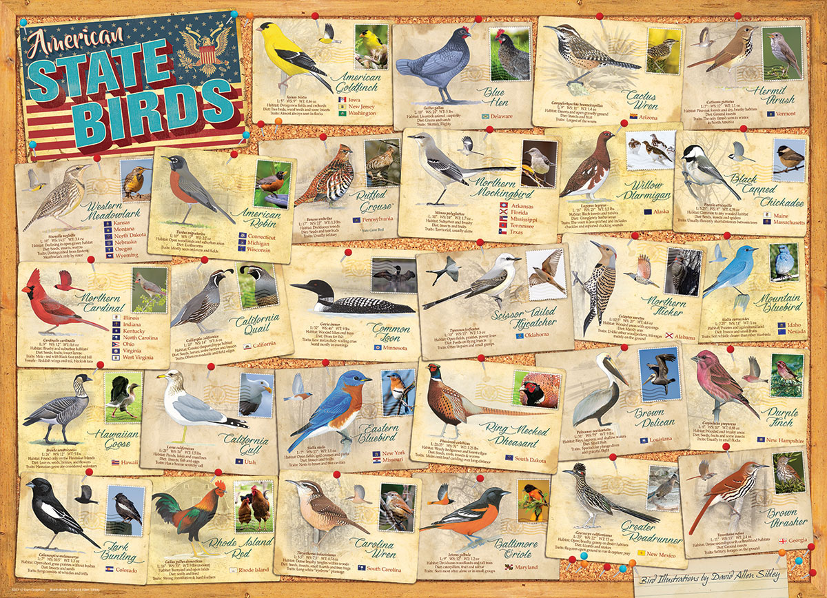 State Birds Birds Jigsaw Puzzle