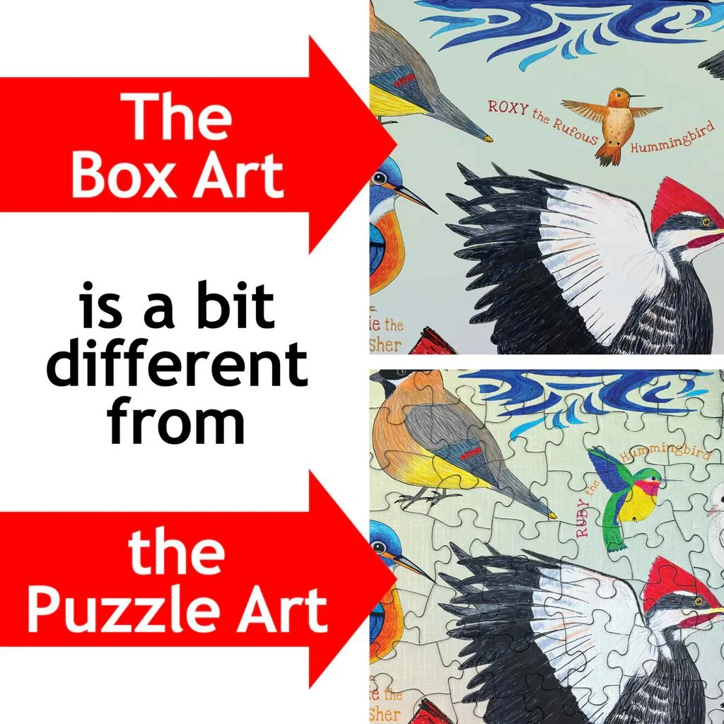 Something's Amiss! - Birdie Buddies