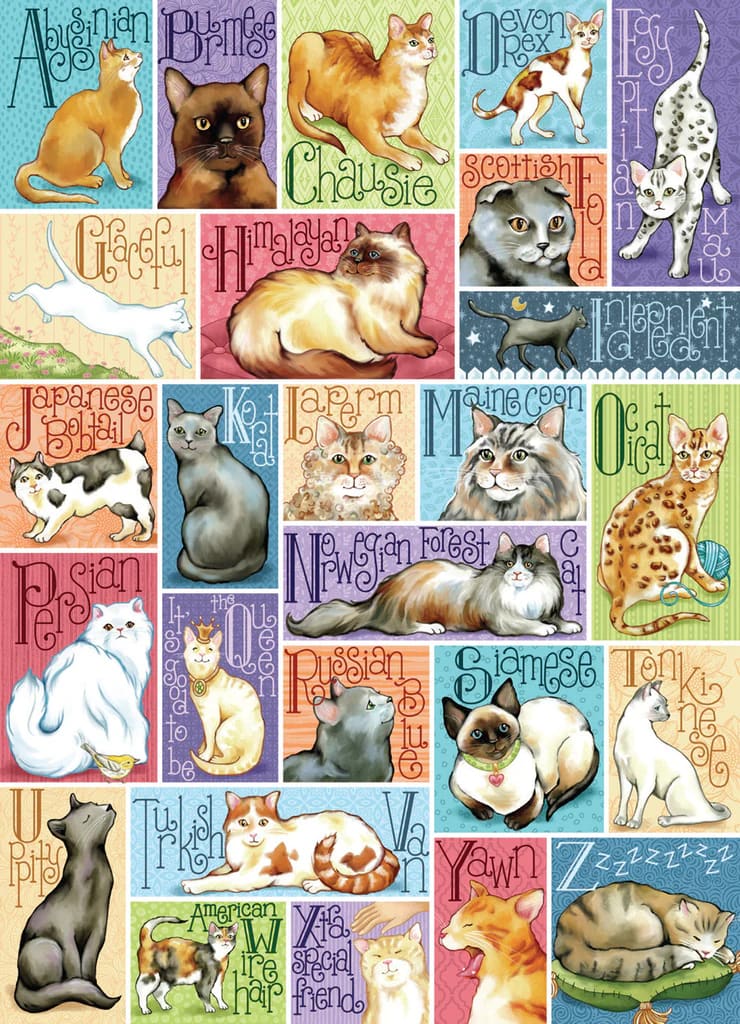 Alpha Cat - Something's Amiss!