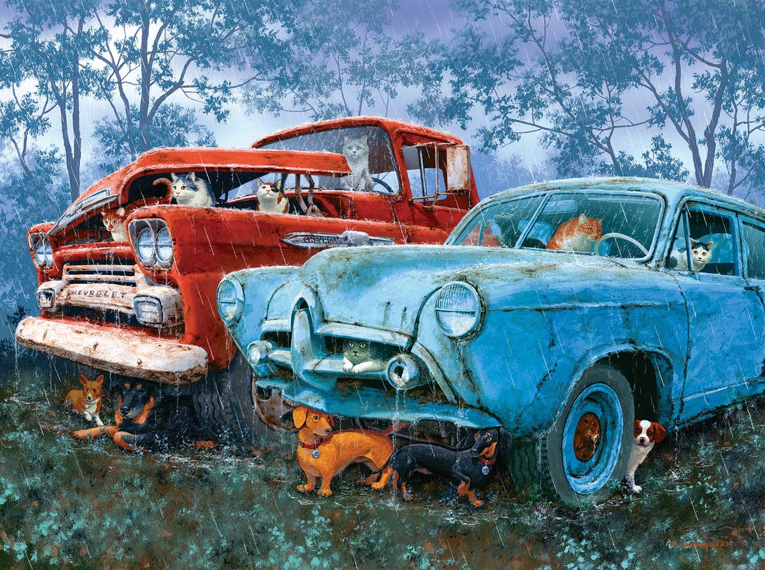 Raining Cats and Dogs Cats