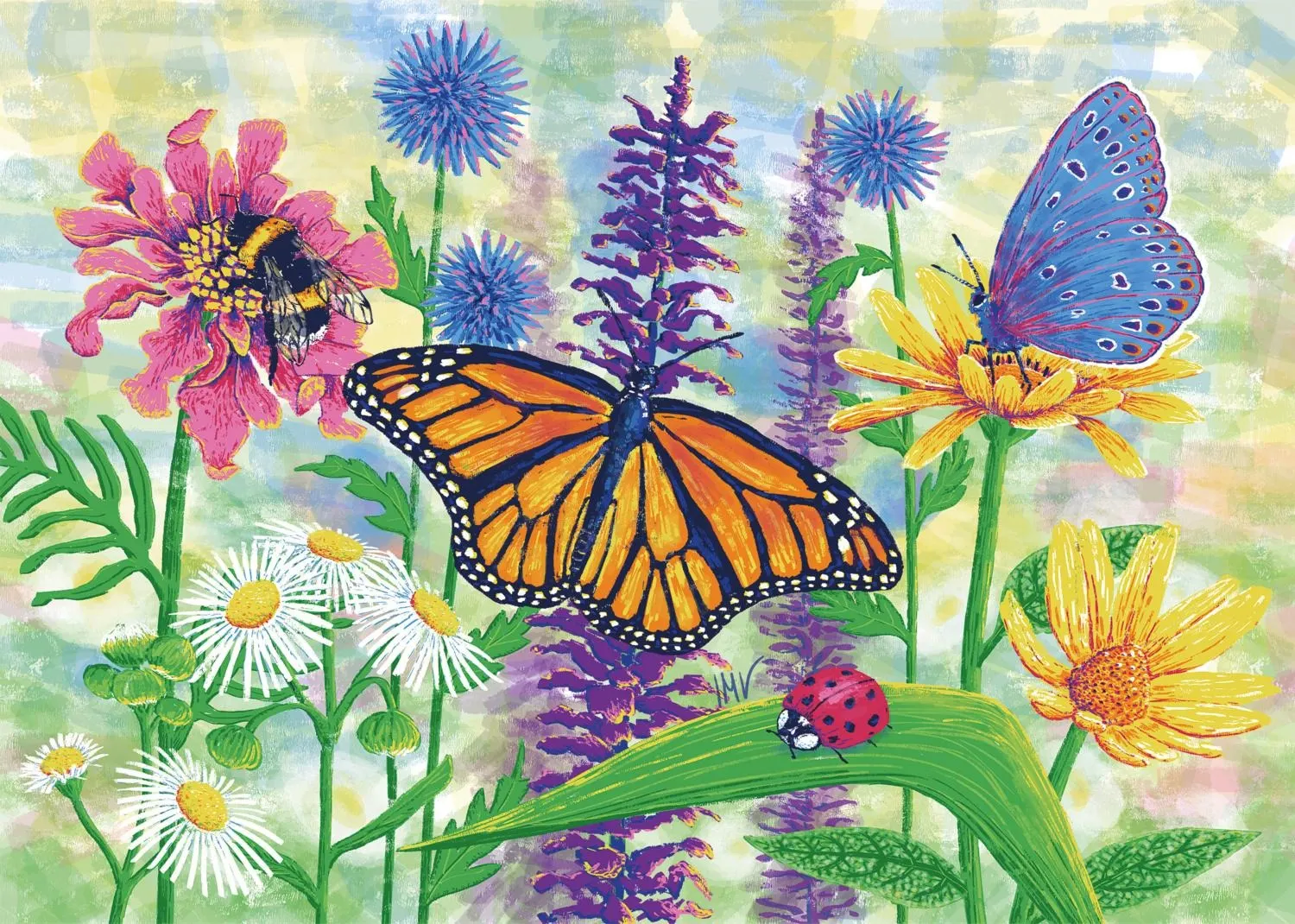 Summer Meadow Butterflies and Insects
