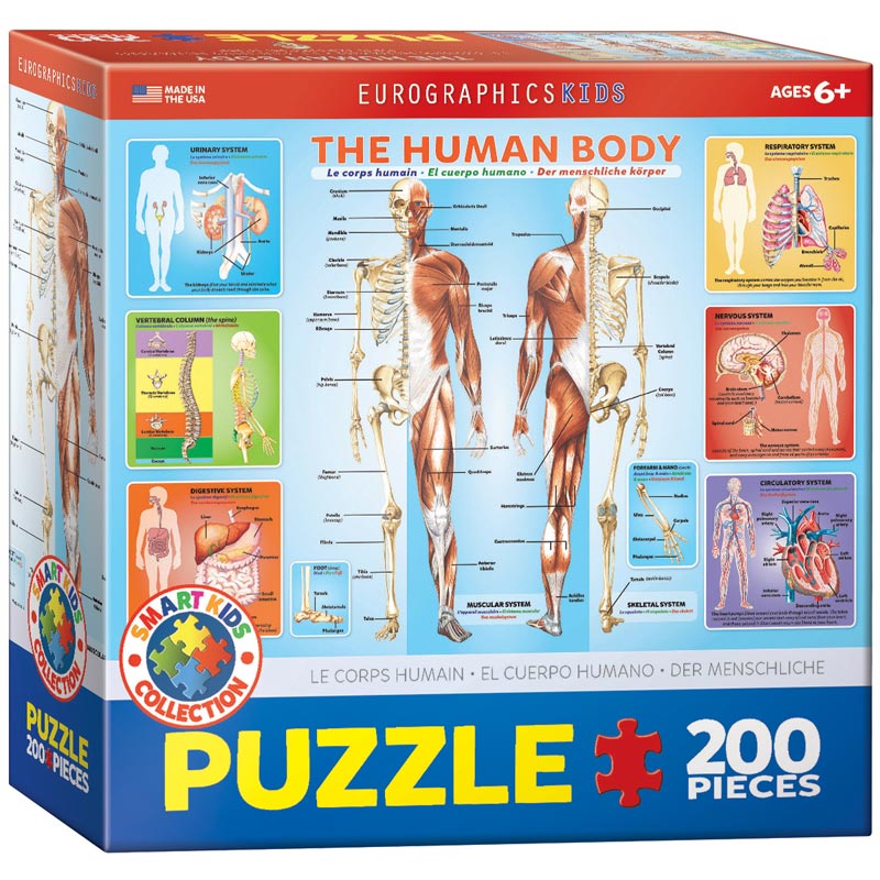 The Human Body Educational Jigsaw Puzzle
