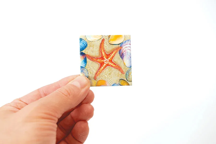 Tidal Pool: Magic Square puzzle (49pc)