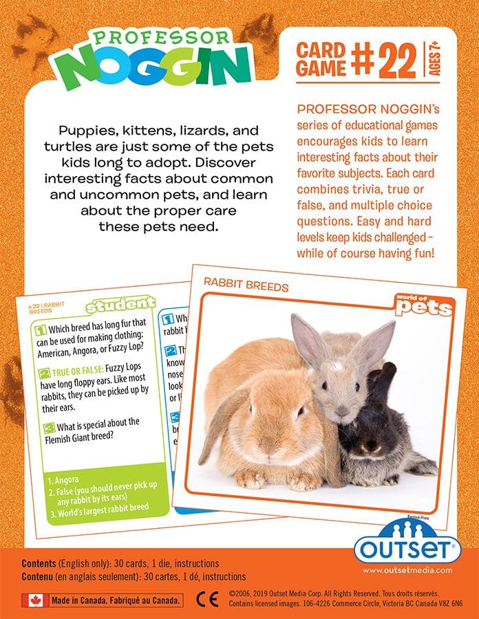 Professor Noggin's World of Pets