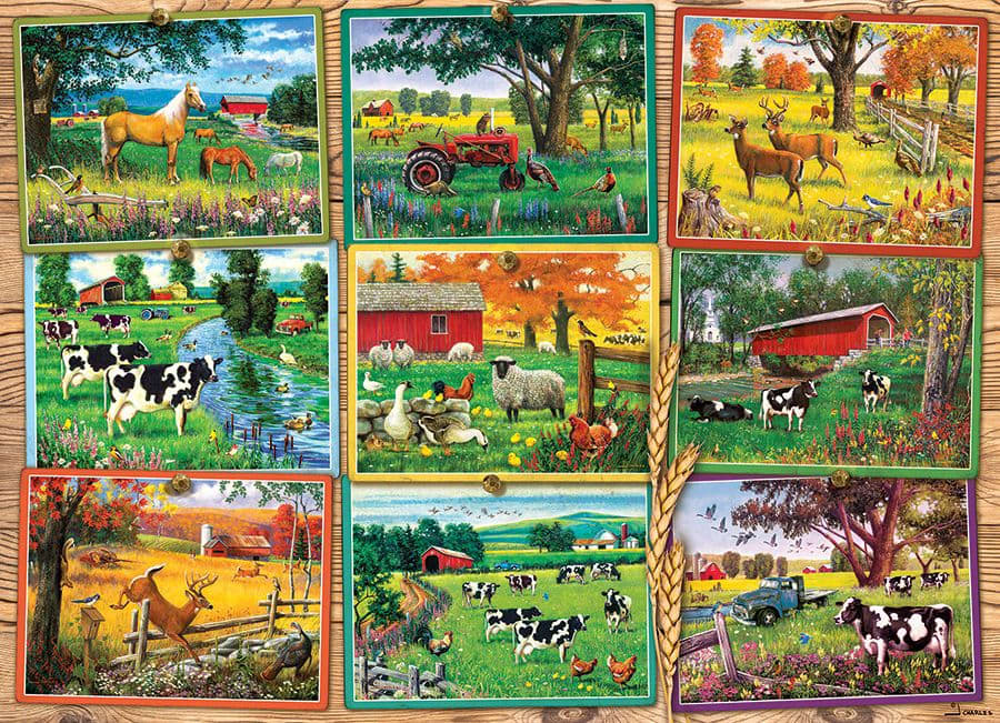 Postcards from the Farm Farm