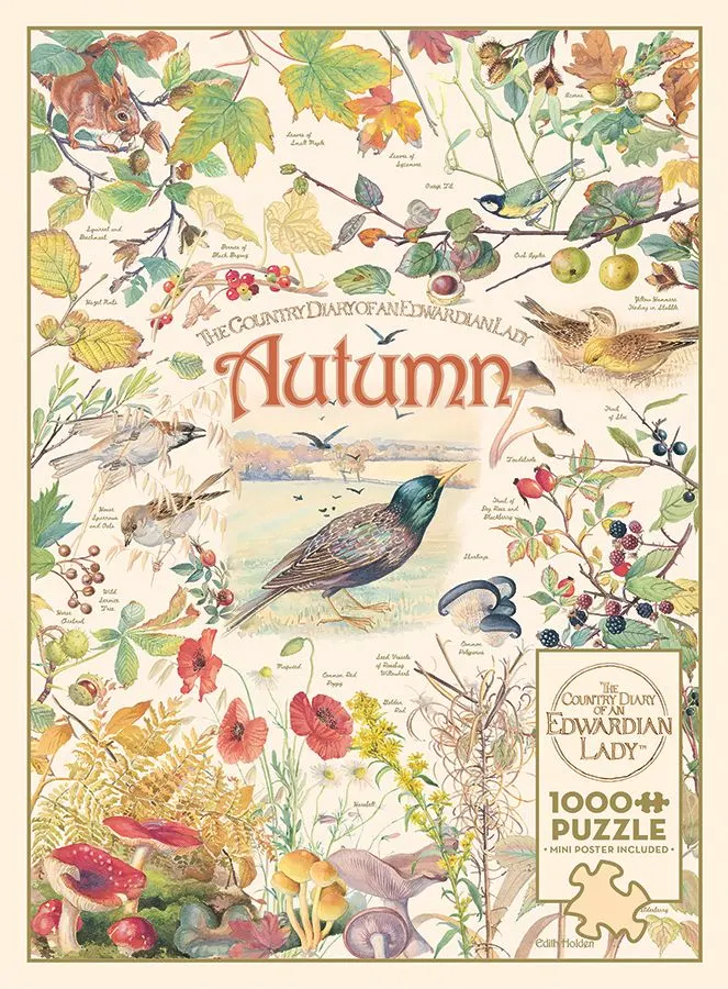 Country Diary: Autumn