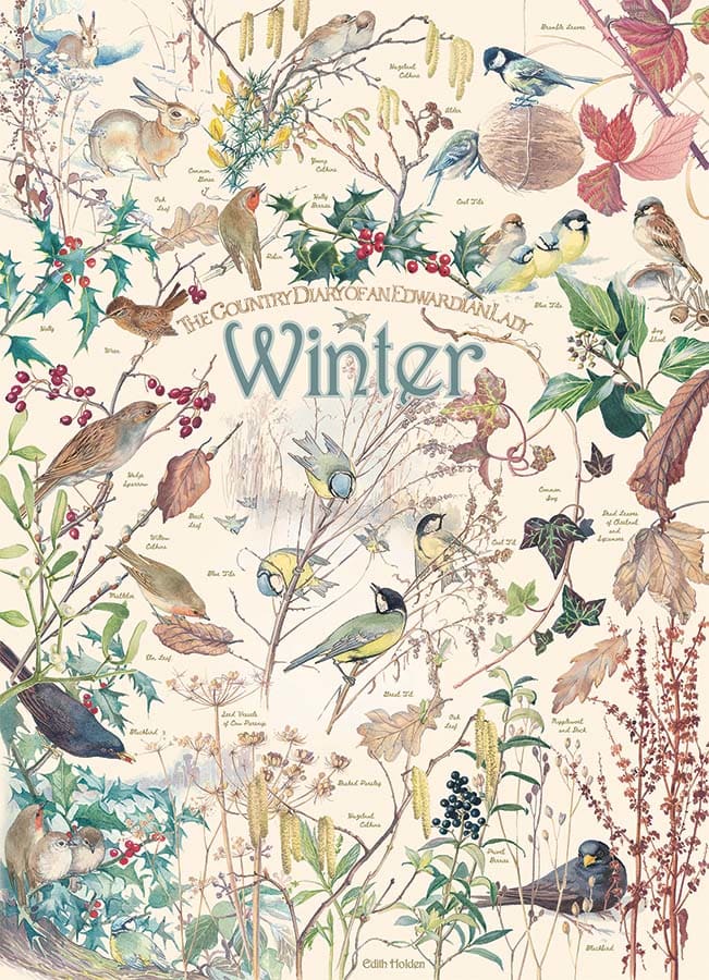 Country Diary: Winter Animals