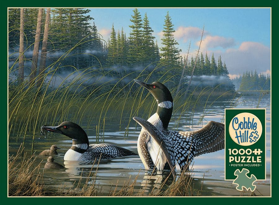 Common Loons