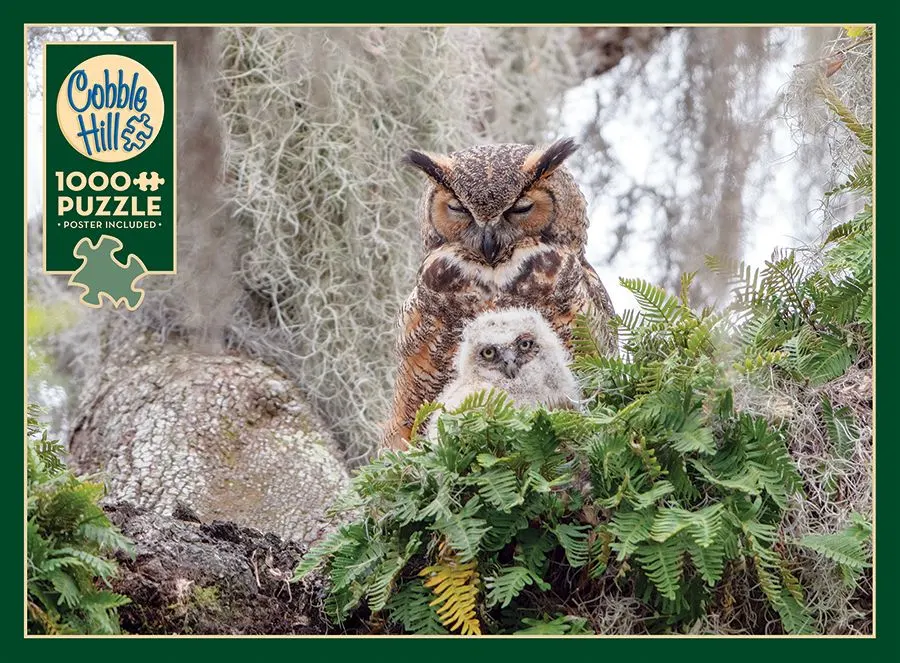 Great Horned Owl