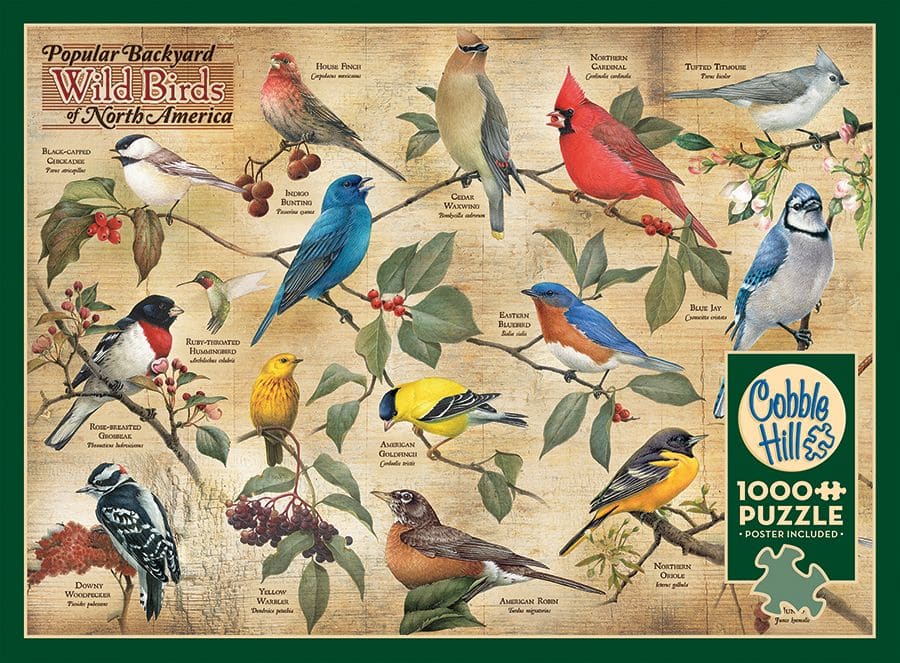 Popular Backyard Wild Birds of N.A.