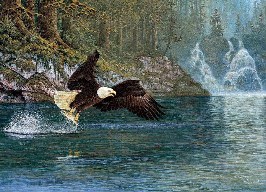 Fly Fishing (eagle) Birds
