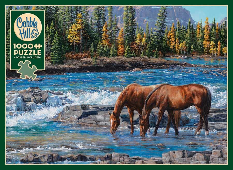 On the Rocks (horses)