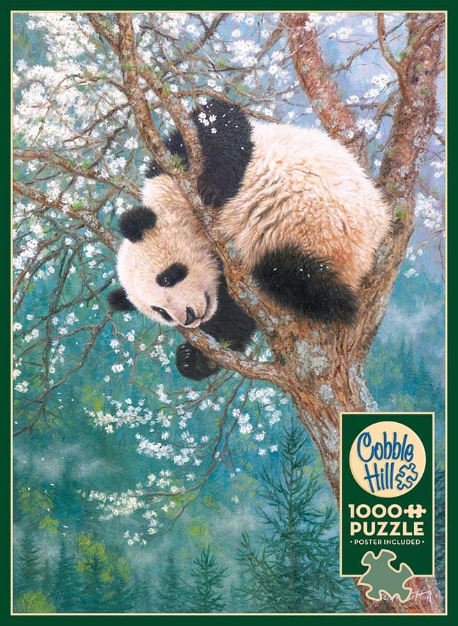 Golden Child - Scratch and Dent