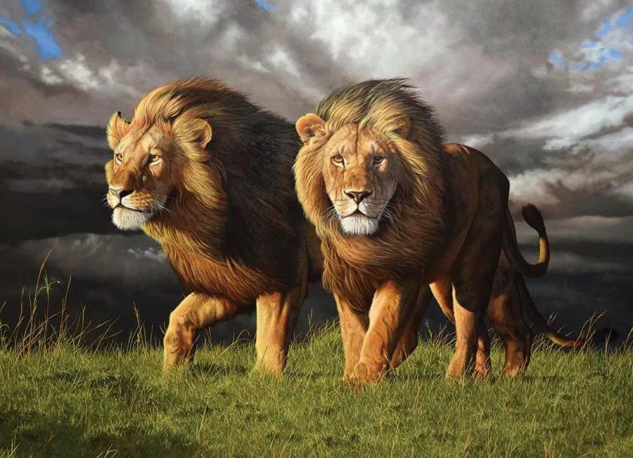 Approaching Storm Big Cats