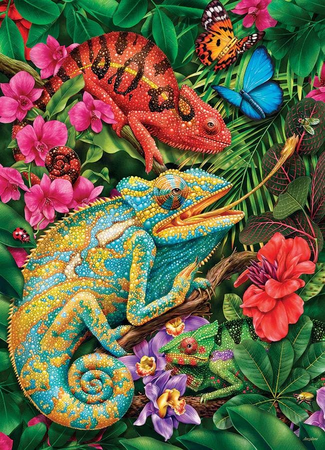 Karma Chameleon Butterflies and Insects