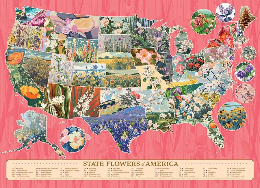 State Flowers of America Flower & Garden