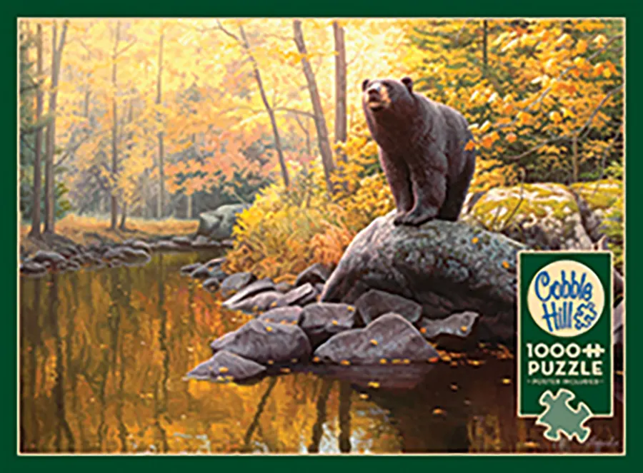 Black Bear Pond Bear