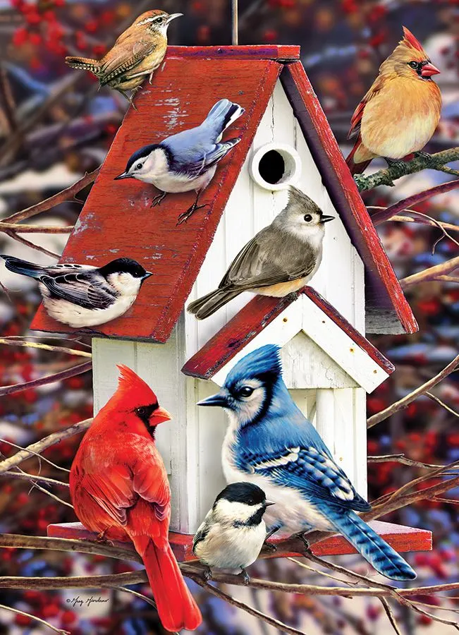 Winter Birdhouse Birds