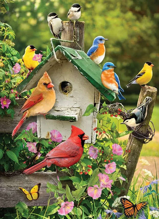 Summer Birdhouse Birds