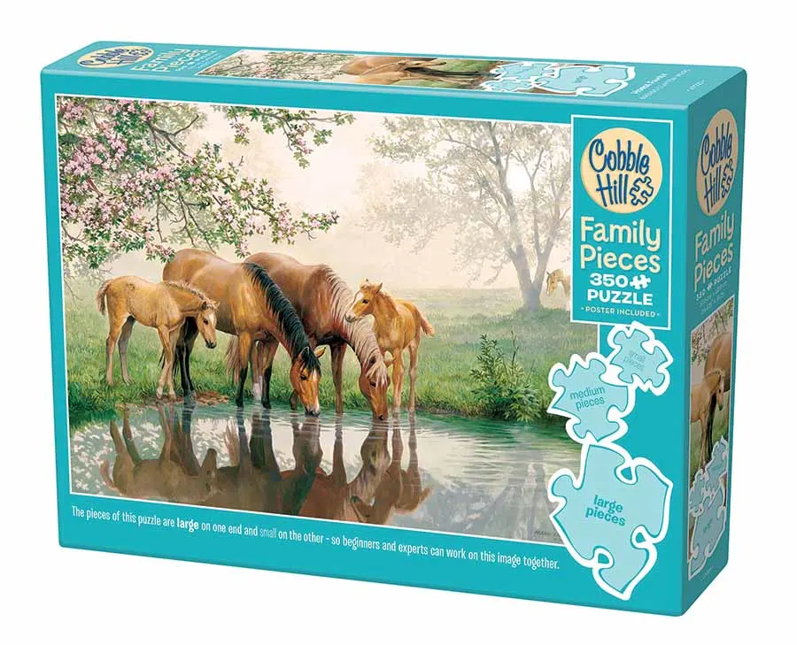 Horse Family Horse