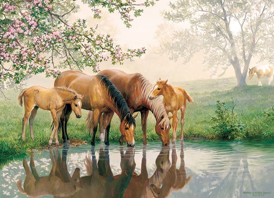 Horse Family