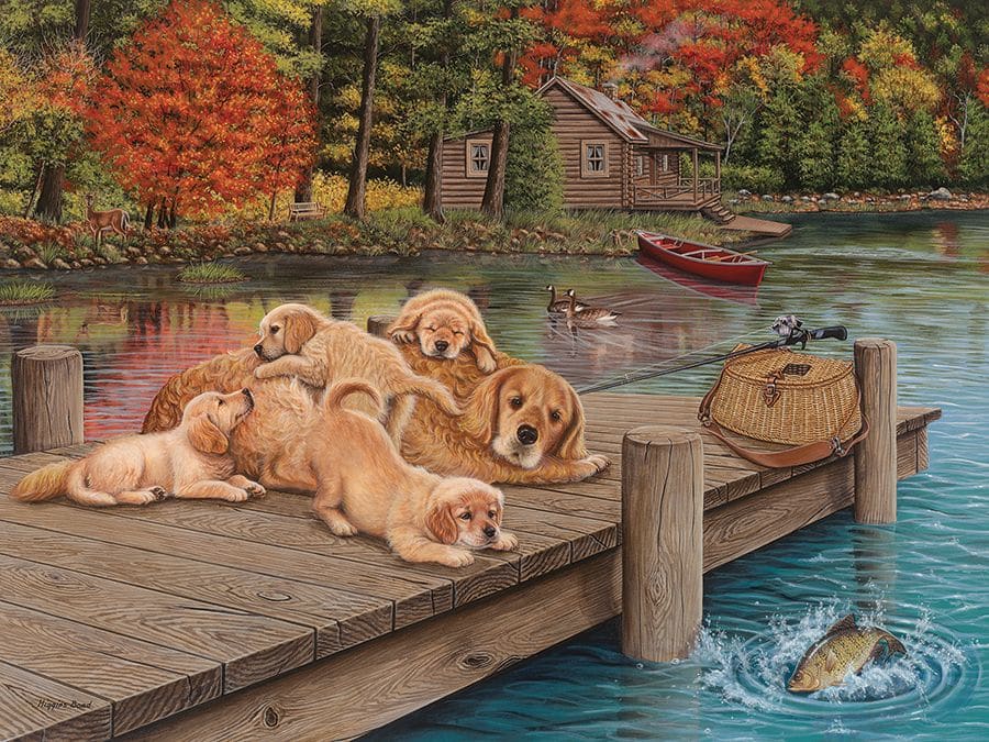 Lazy Day on the Dock Dogs