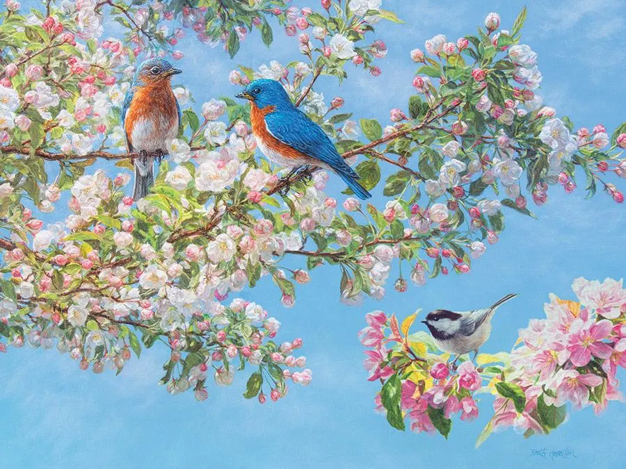 Blossom Festival Birds