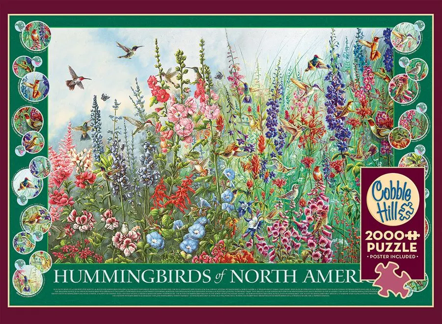 Hummingbirds of North America