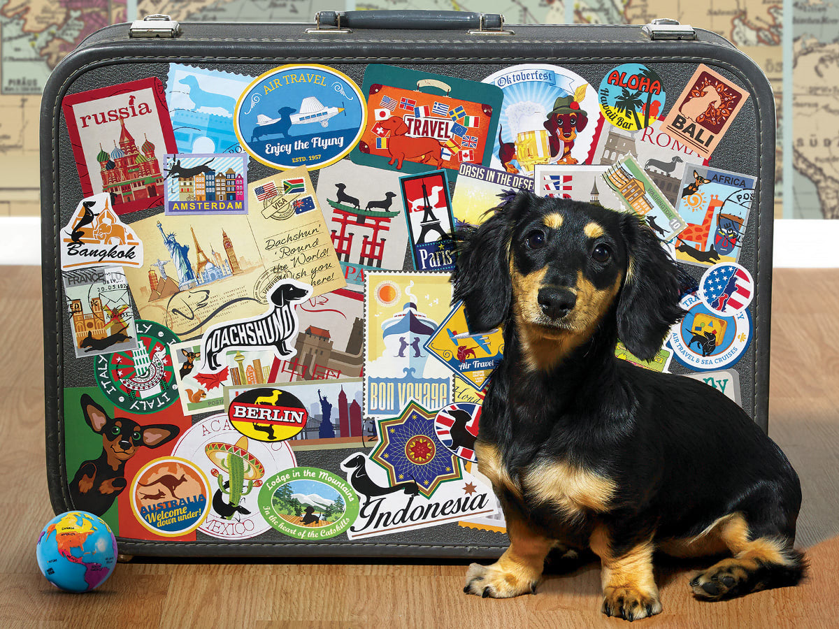Dachshund 'Round the World - 500 Piece Jigsaw Puzzle by
